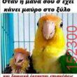 Αστεία εικόνα