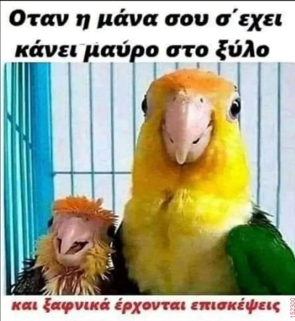 Αστεία εικόνα