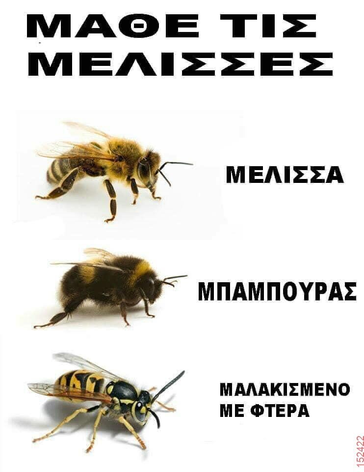 Αστεία εικόνα