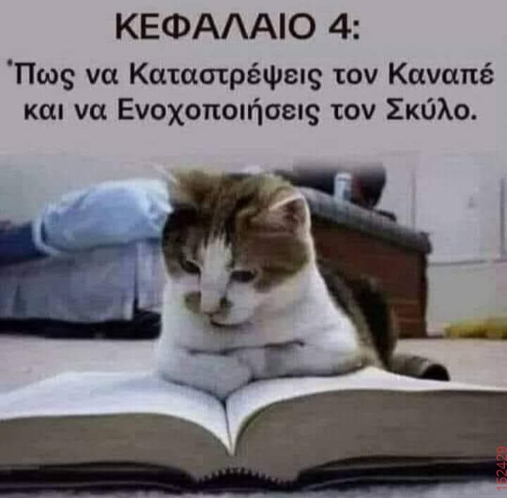 Αστεία εικόνα