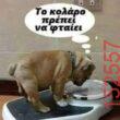 Αστεία εικόνα