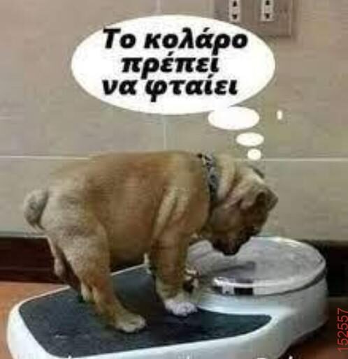 Αστεία εικόνα