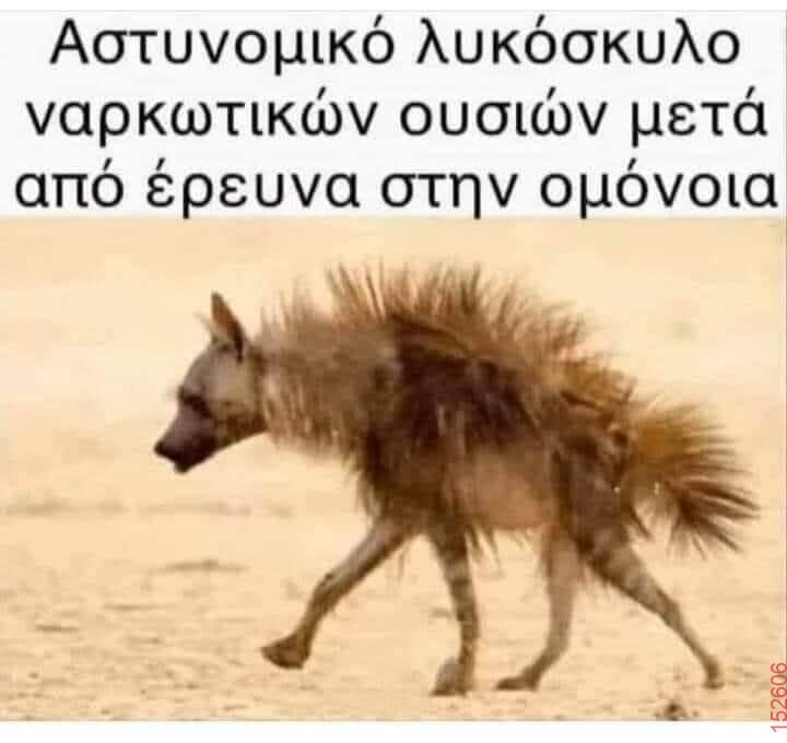 Αστεία εικόνα