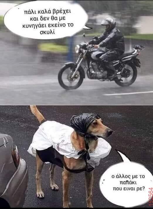 Αστεία εικόνα
