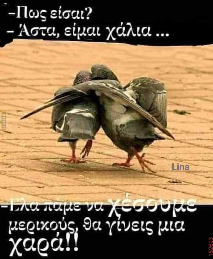 Αστεία εικόνα