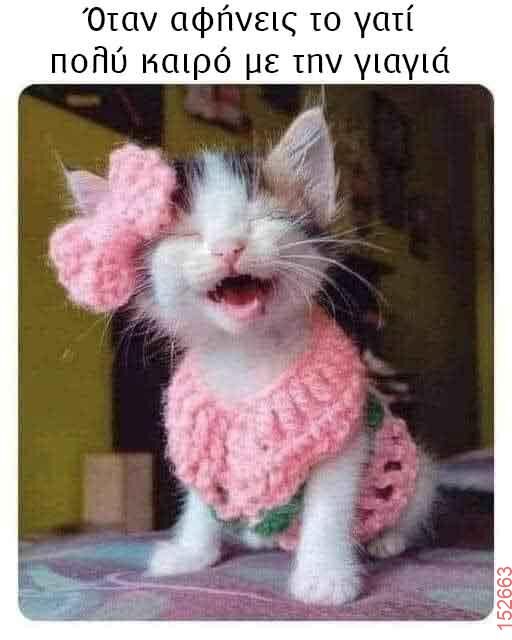 Αστεία εικόνα