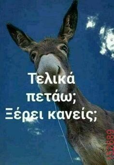 Αστεία εικόνα