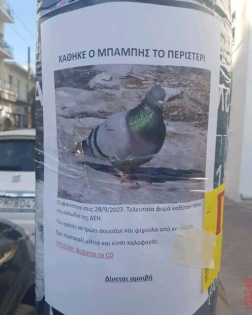Αστεία εικόνα