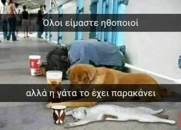 Αστεία εικόνα