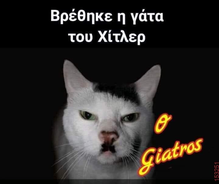 Αστεία εικόνα