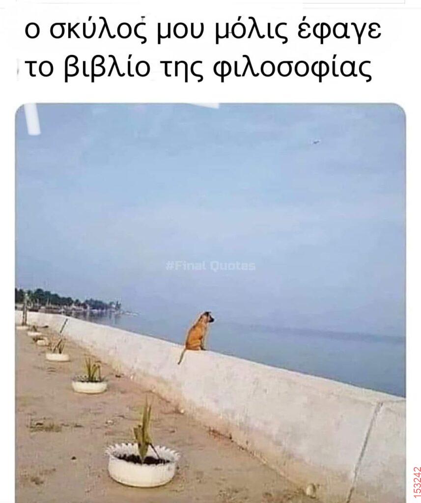 Αστεία εικόνα