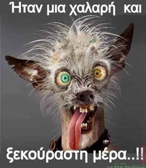 Αστεία εικόνα