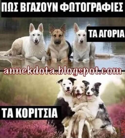 Αστεία εικόνα katharmata 2 – Ola rand FB
