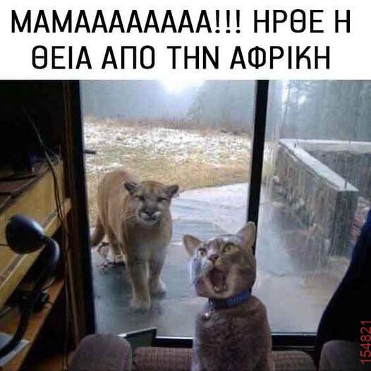 Αστεία εικόνα katharmata 2 – Ola rand FB