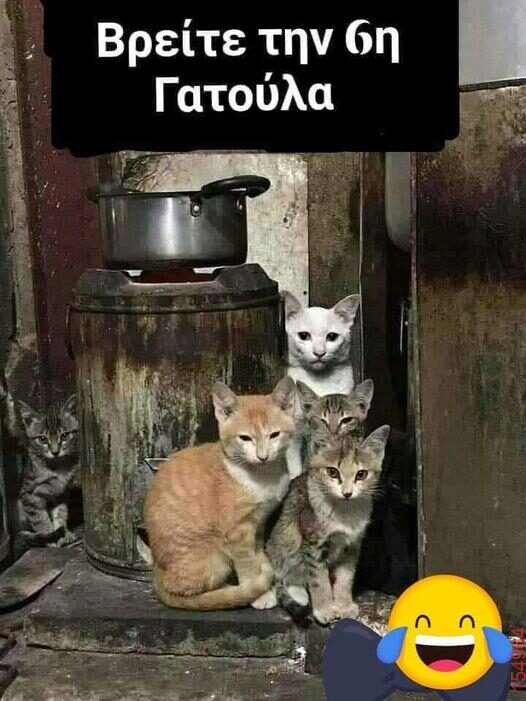 Αστεία εικόνα katharmata 2 – Ola rand FB