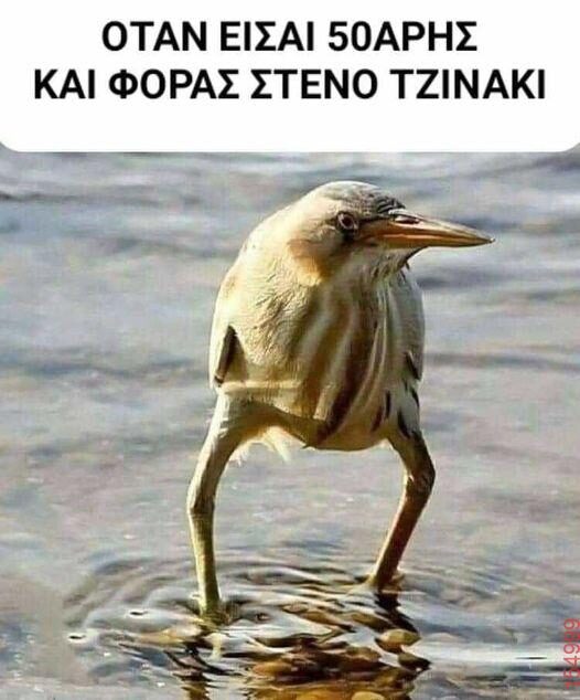 Αστεία εικόνα katharmata 2 – Ola rand FB