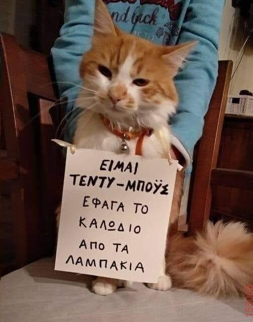 Αστεία εικόνα katharmata 2 – Ola rand FB