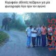 Αστεία εικόνα katharmata 2 – Ola rand FB