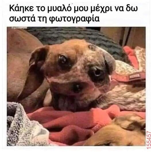 Αστεία εικόνα katharmata 2 – Ola rand FB
