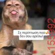 Αστεία εικόνα katharmata 2 – Ola rand FB