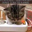 Αστεία εικόνα katharmata 2 – Ola rand FB