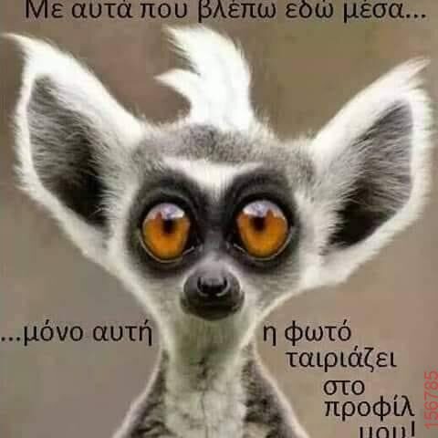 Αστεία εικόνα