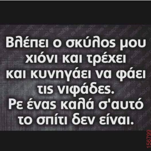 Αστεία εικόνα