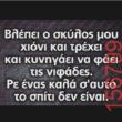 Αστεία εικόνα