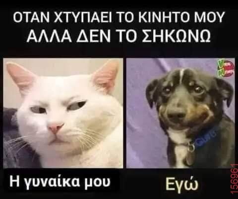 Αστεία εικόνα