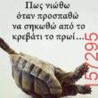 Αστεία εικόνα