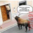 Αστεία εικόνα