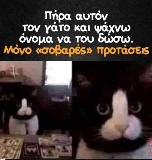 Αστεία εικόνα katharmata 2 – Ola rand FB