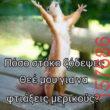 Αστεία εικόνα