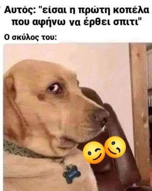 Αστεία εικόνα