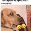 Αστεία εικόνα