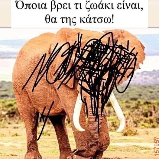 Αστεία εικόνα katharmata 2 – Ola rand FB