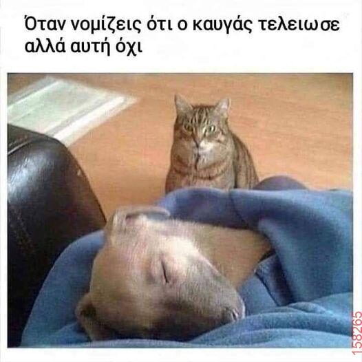 Αστεία εικόνα