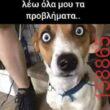 Αστεία εικόνα katharmata 2 – Ola rand FB