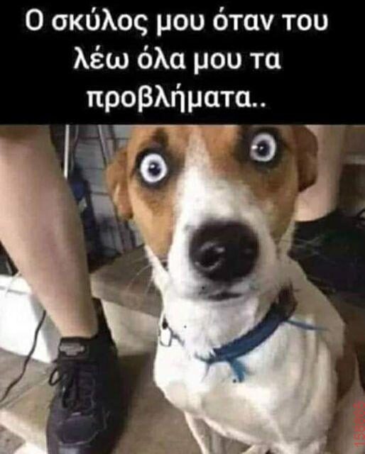 Αστεία εικόνα katharmata 2 – Ola rand FB