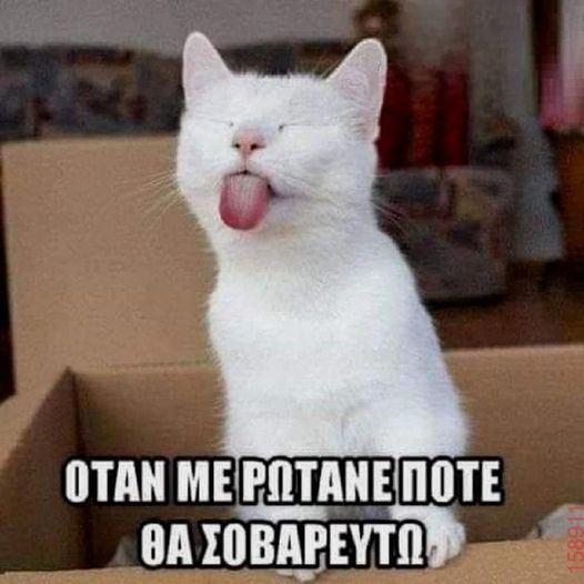 Αστεία εικόνα