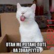 Αστεία εικόνα