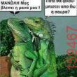Αστεία εικόνα