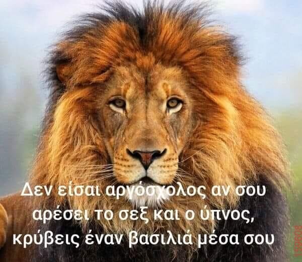 Αστεία εικόνα
