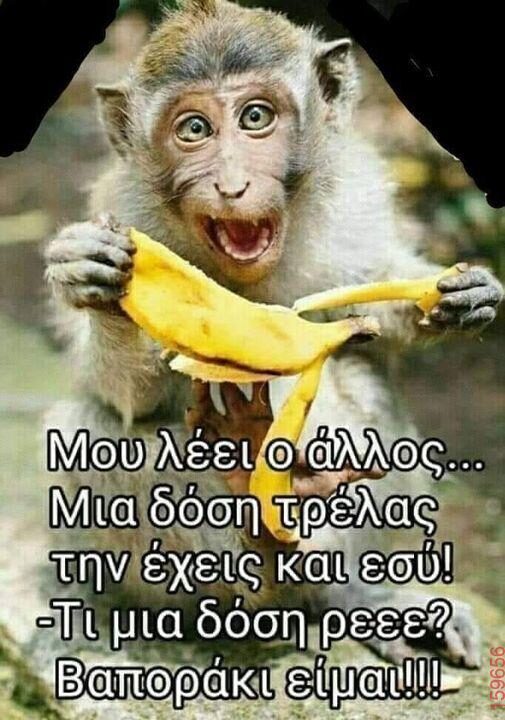 Αστεία εικόνα