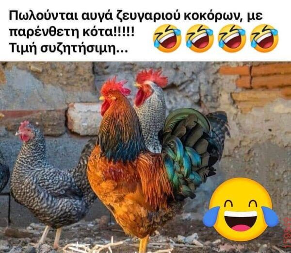 Αστεία εικόνα