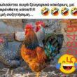 Αστεία εικόνα