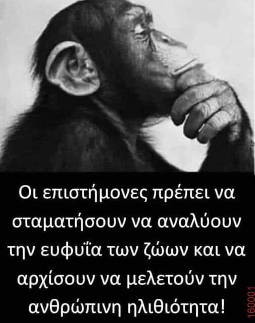 Αστεία εικόνα