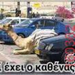 Αστεία εικόνα