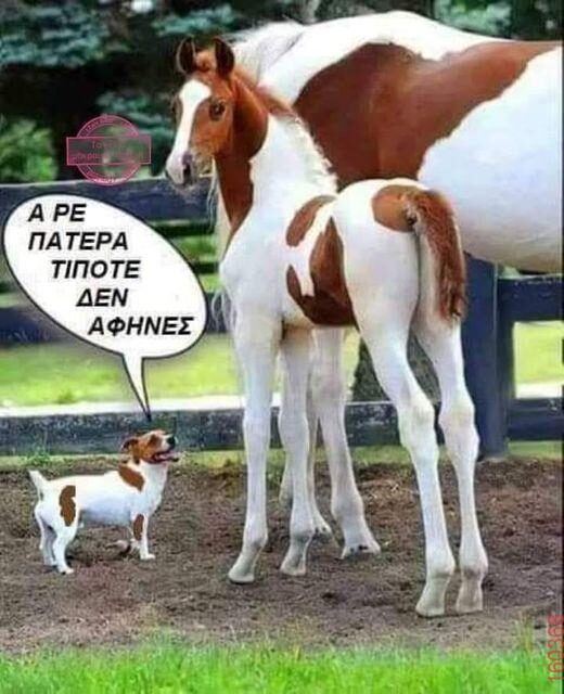 Αστεία εικόνα