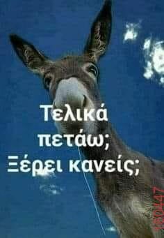 Αστεία εικόνα